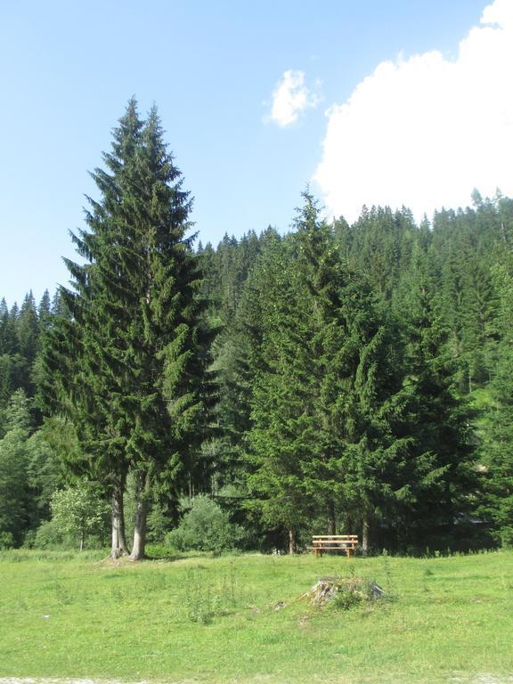 Ferienhaus Schwarzenbacher Lungötz 部屋 写真
